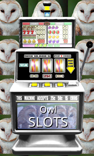 Owl Slots - Free