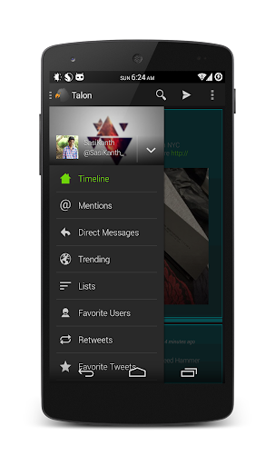 Talon Ingress Theme