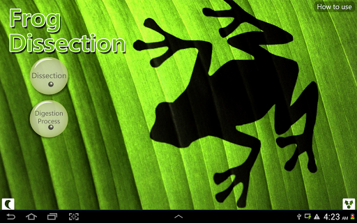 Frog Dissection for tablet