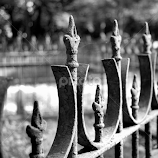 Cemetery fence B&W by Anita Berghoef -  
