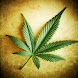 Marijuana Live Wallpaper
