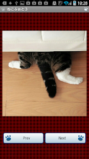How to get ねこふぉと３ lastet apk for android