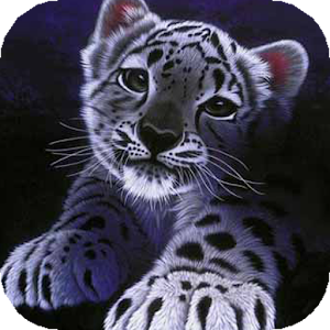 Blinking Tiger Live 1.0