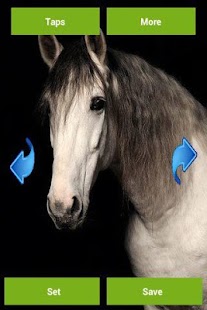Horses Wallpapers Screenshots 5