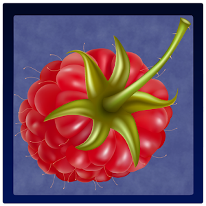 Справочник ягод PRO logo