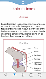 Modern Essentials Spanish poster 2