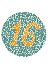 ���� ����������