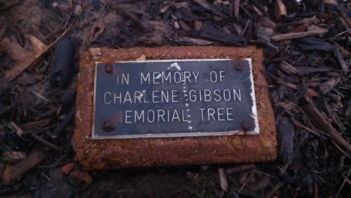 Charlene Gibson Memorial Tree