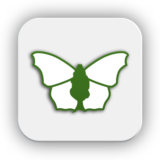 систематика бабочки. бабочка приложение. баттерфляй фловер цветы компания. баттерфляй программа для скачивания. приложение бабочка.