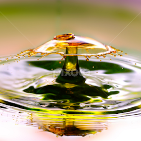 The Umbrella by Nirmal Kumar - Abstract Water Drops & Splashes