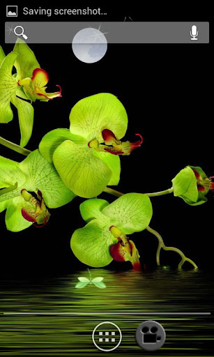 Orchids In Water Pro HD