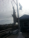 Amelia Island Marina Shark