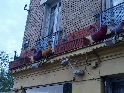 Houilles, Les Oies Sur Le Balcon