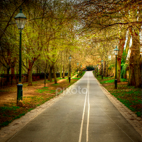 London in Winter by Jime Fernandez - City,  Street & Park City Parks