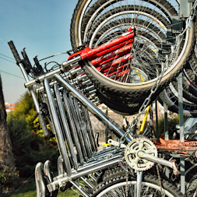 by Antonio Amen - Transportation Bicycles