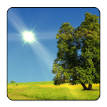 Cover Image of Download True Weather LWP 6.01 APK