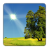 True Weather LWP6.01