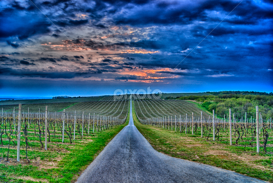 by Dragan Duric - Landscapes Prairies, Meadows & Fields