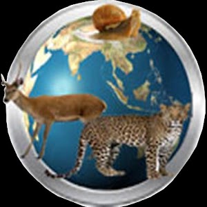 Animals Encyclopedia logo