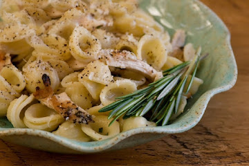 Pasta with Shredded Chicken and Rosemary