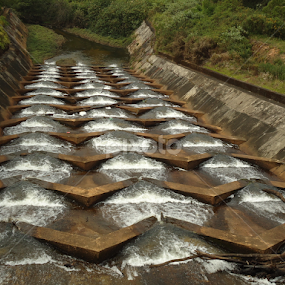by Deepti Rokade - Nature Up Close Other Natural Objects