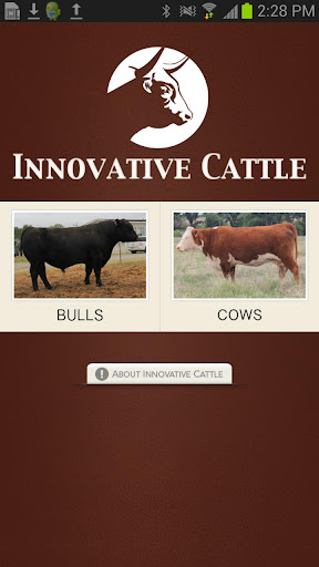 Brooks Cattle