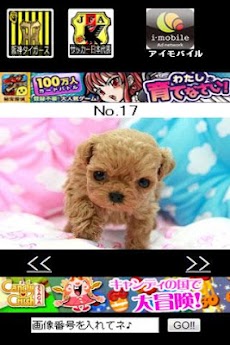 可愛い犬の壁紙画像 Androidアプリ Applion