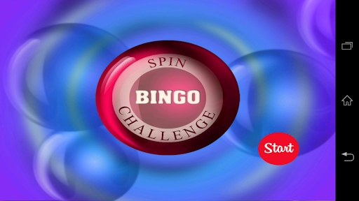 Bingo Spin Challenge