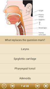 Know Your Body Screenshots 20