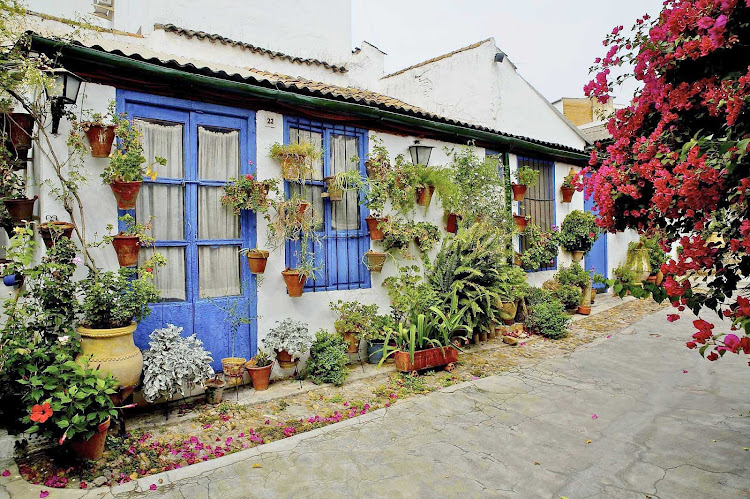 Many residents of Córdoba in southern Spain take advantage of the region's subtropical Mediterranean climate by creating botanical beauty of their own.