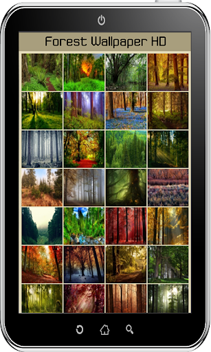 免費下載個人化APP|Forest Wallpaper HD app開箱文|APP開箱王