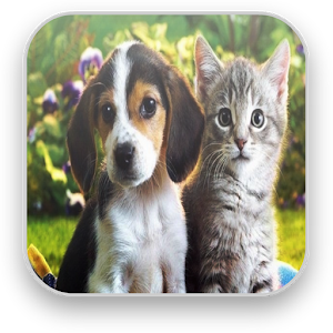 Sounds of cats and dogs logo