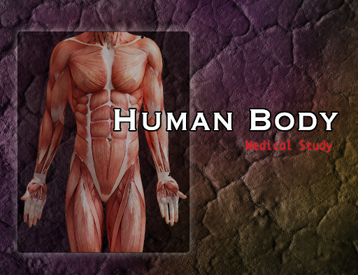 Human Body