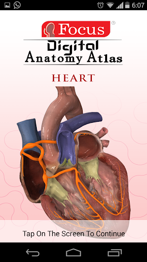 HEART - Digital Anatomy Atlas