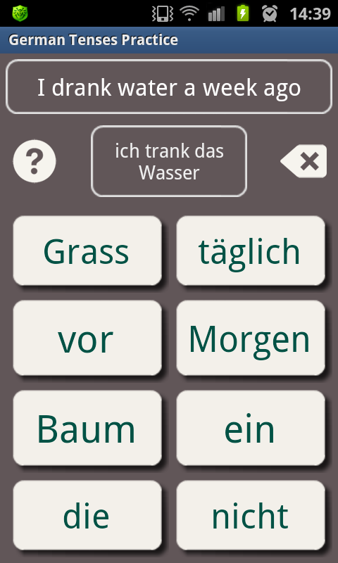 German Grammar Practice Screen 2