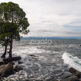 Untitled by Ndang Chun - Landscapes Waterscapes