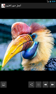 How to install أجمل صور الطيور 1.03 mod apk for pc
