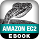 Programming Amazon EC2