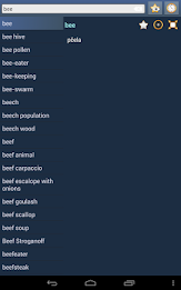 English Croatian dictionary poster 8