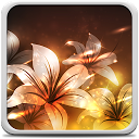 Glowing Flowers Live Wallpaper mobile app icon