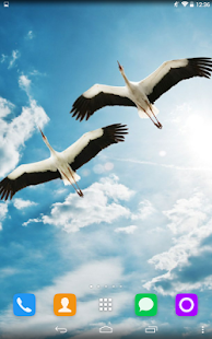 Lastest Stork Live Wallpaper APK