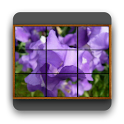 My Image Puzzle logo