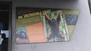 Orangutan Exhibit