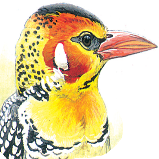 eGuide to Birds of East Africa LOGO-APP點子