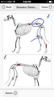 Lastest Cavanti APK for Android