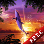 Dolphin Sunrise Trial Apk