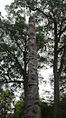 The Many Faces of Man Totem