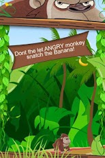 Angry Monkey