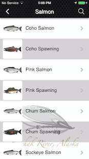 Blueberry Island Fishing Lodge Screenshots 2
