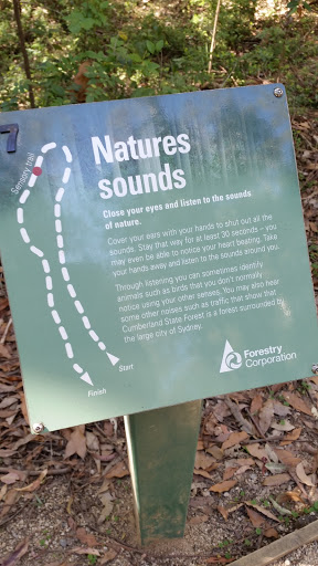 Nature's Sounds 